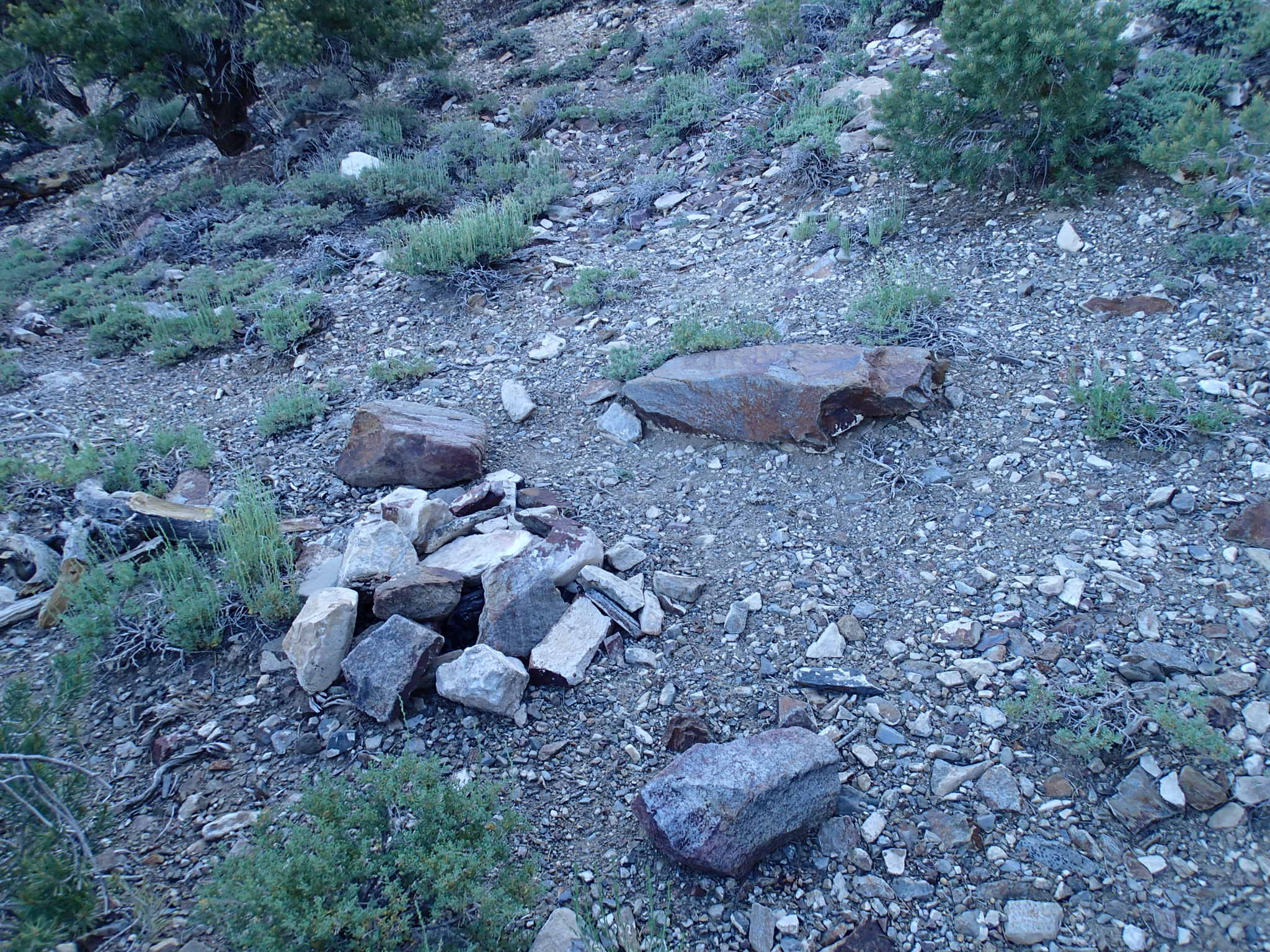 Hike the Hummingbird Spring Trail