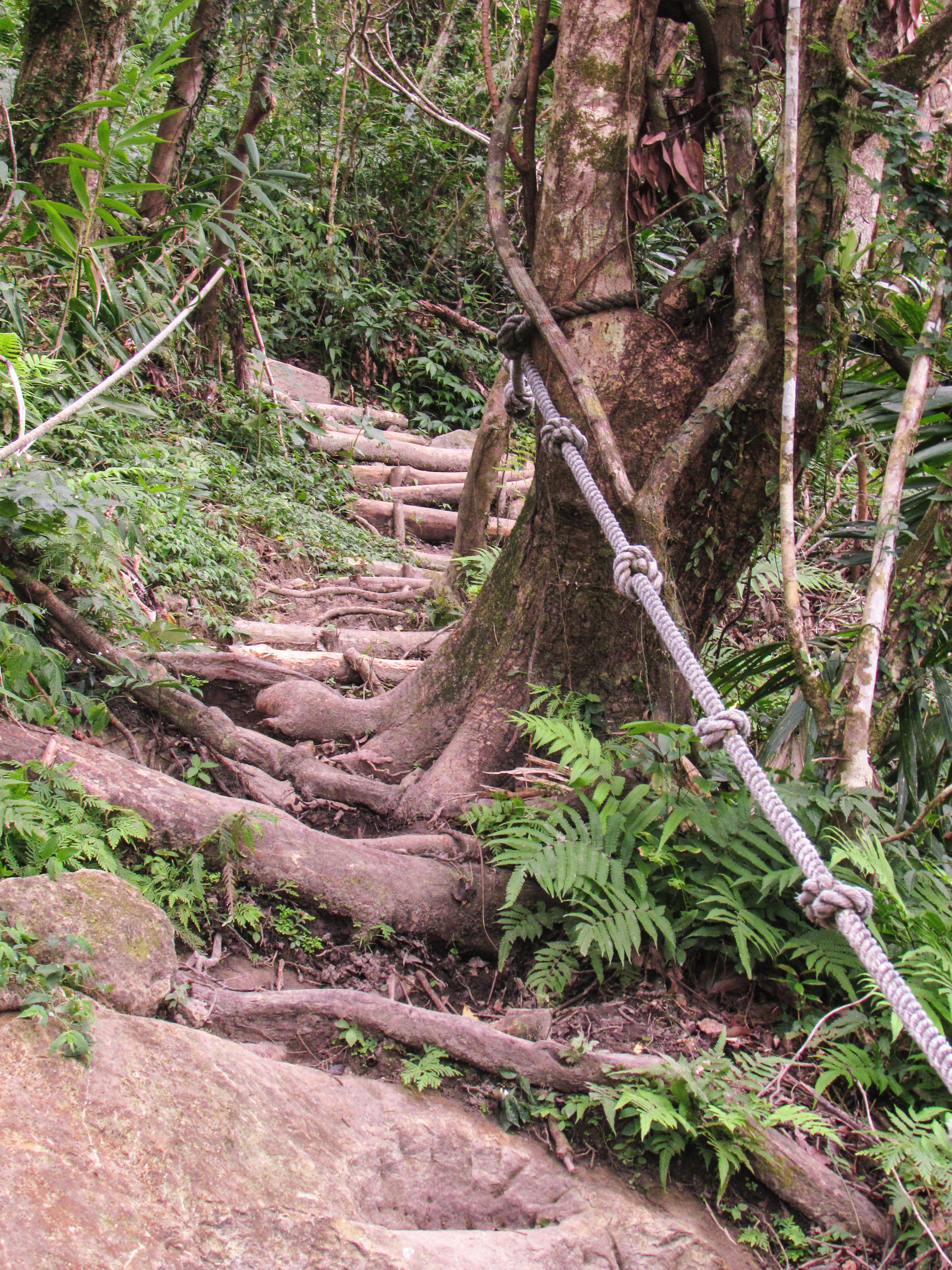 Hike Dulan Mountain 