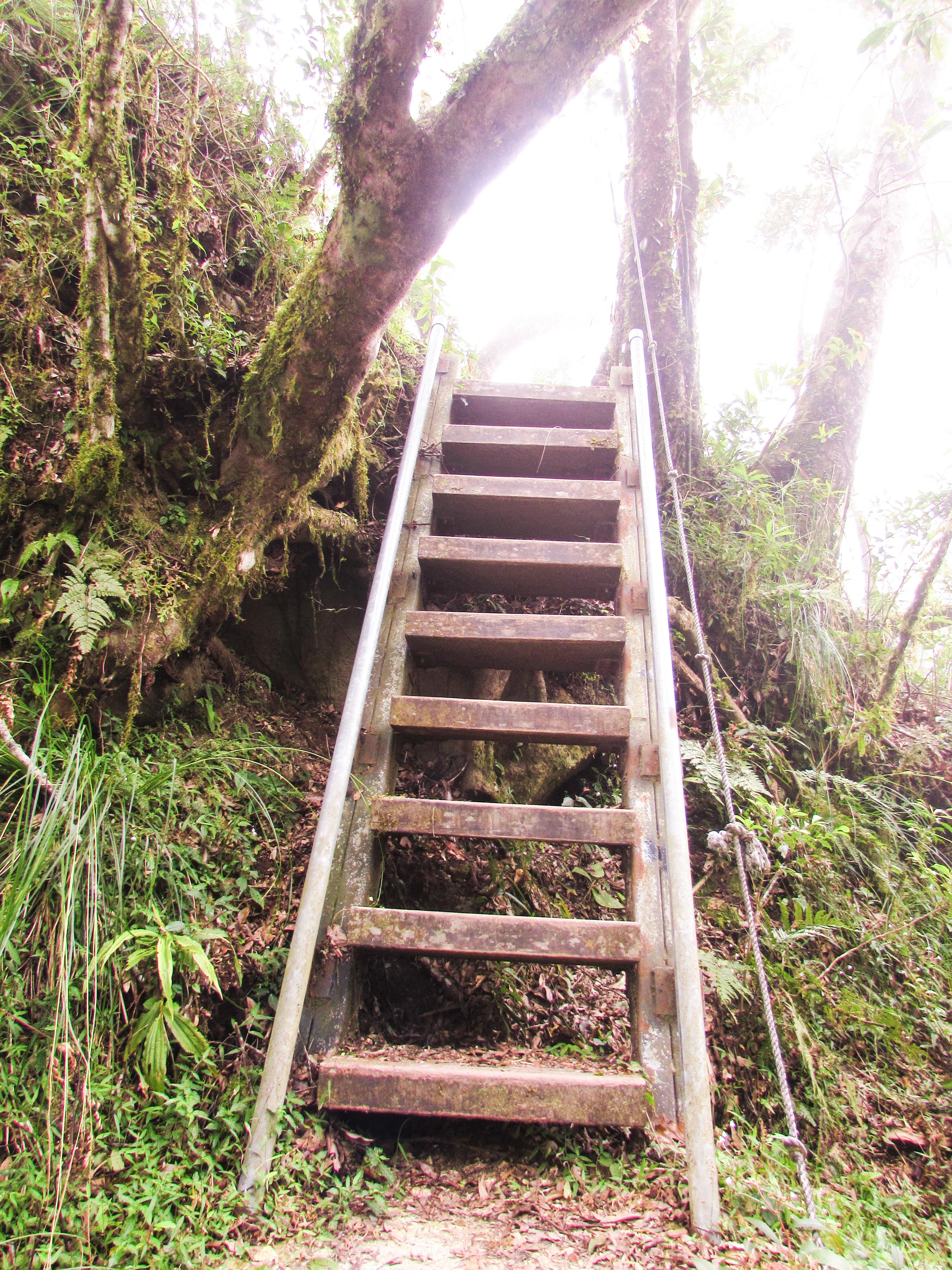 Hike Dulan Mountain 