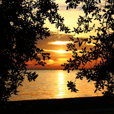 Sunset Stroll on the Mandeville Lakefront