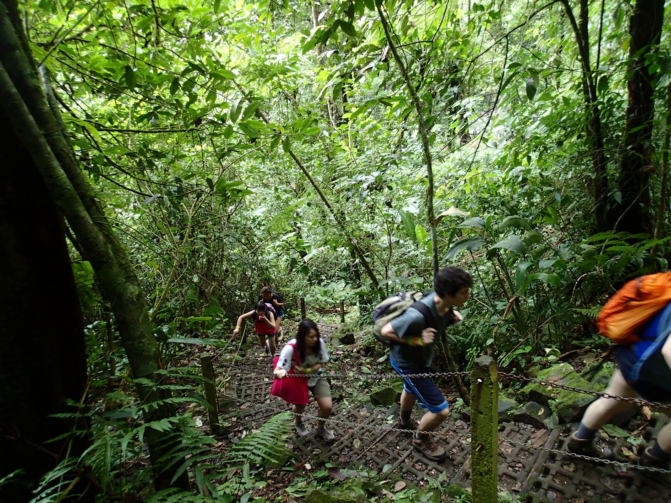 Hike to La Fortuna Falls