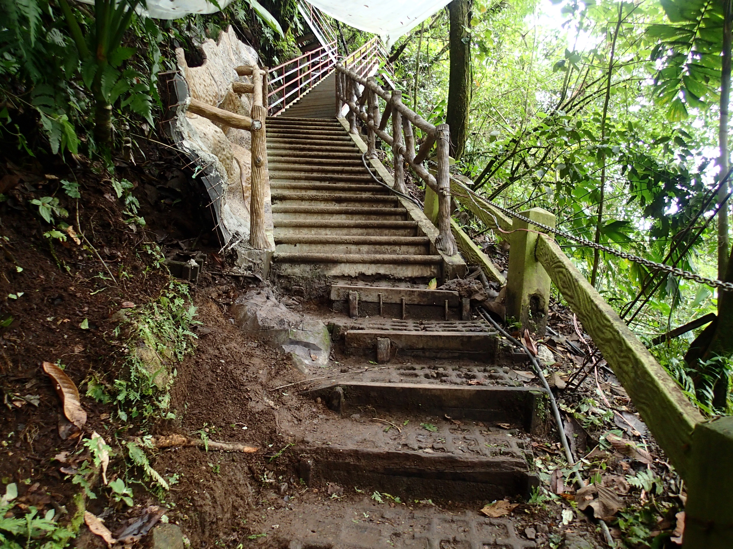 Hike to La Fortuna Falls