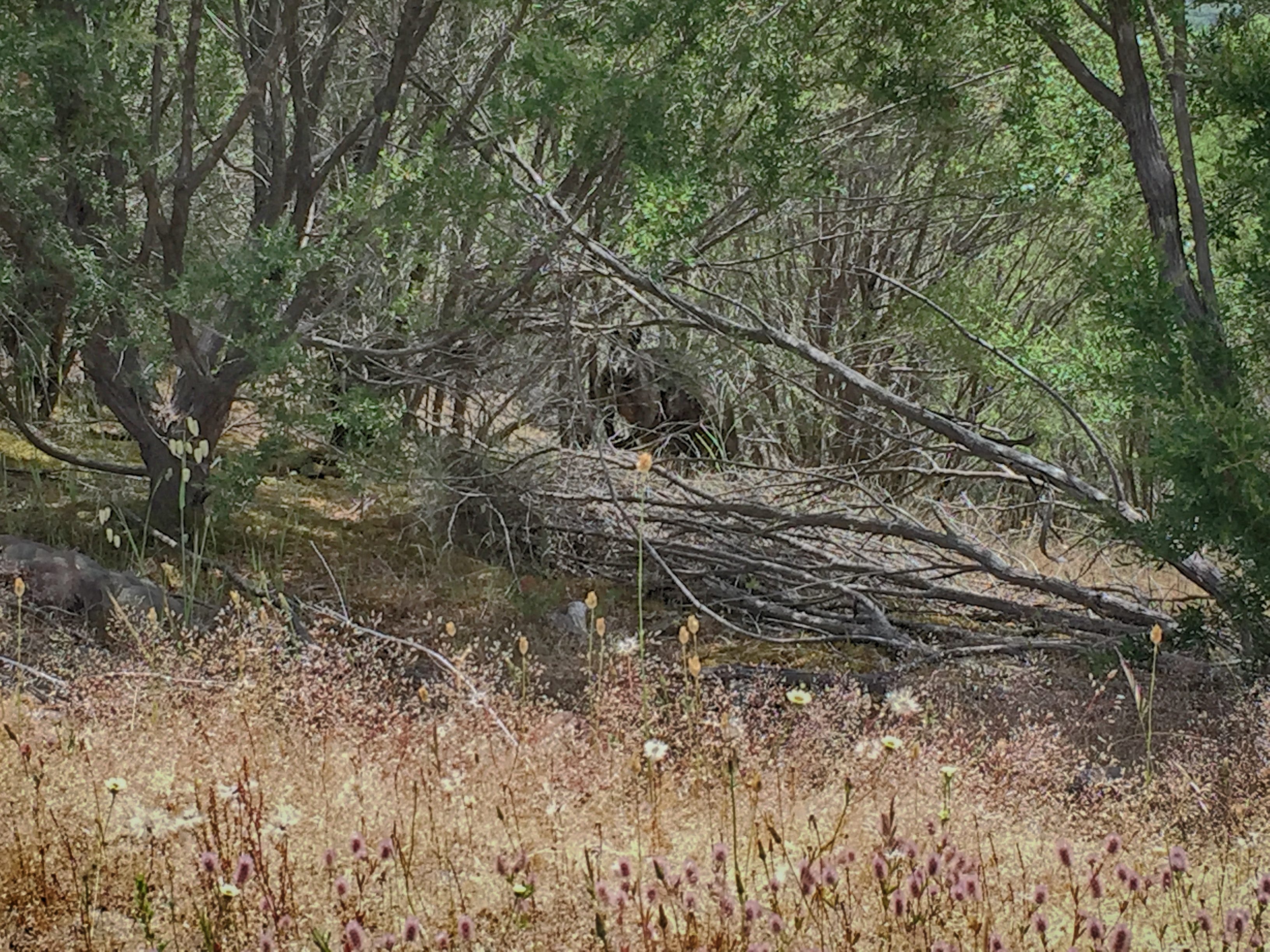 Hike Blowhard Circuit