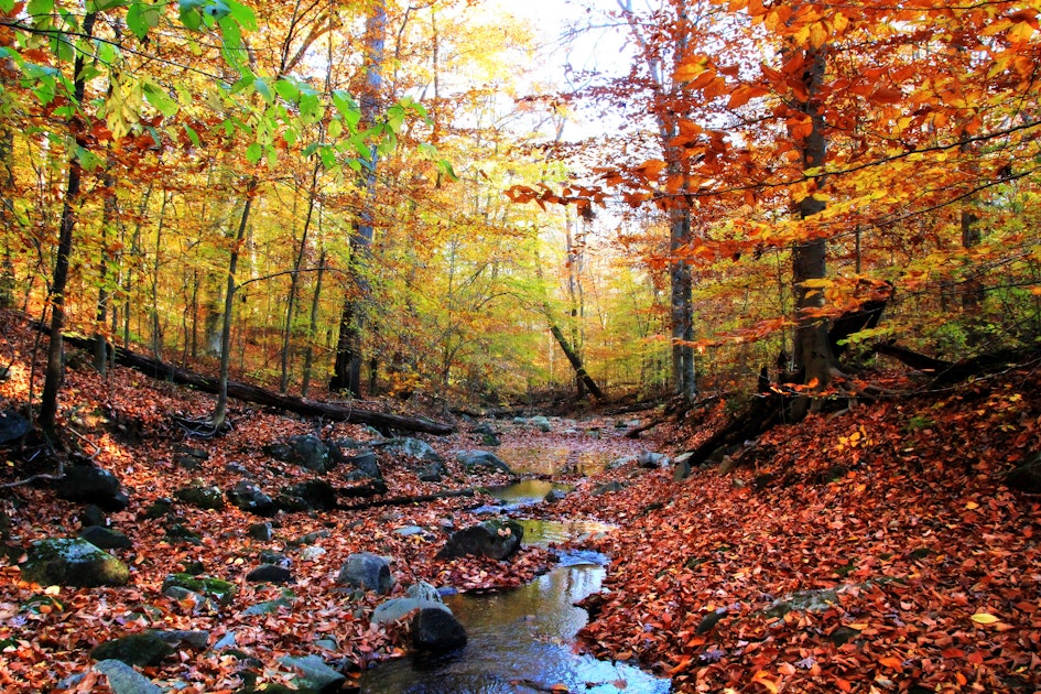 Hike at Turkey Run Park, McLean, Virginia