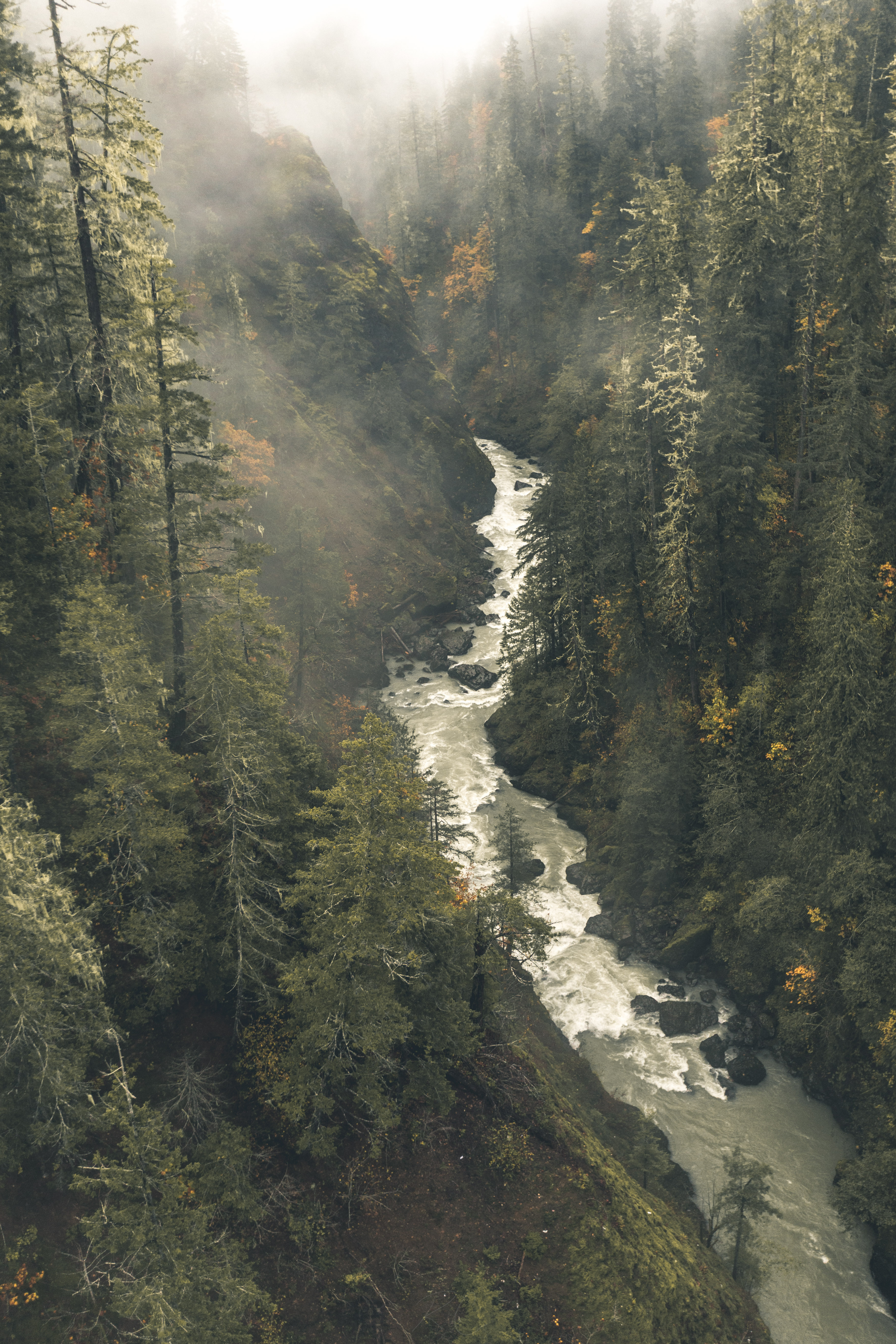 Explore High Steel Bridge, Mason County, Washington
