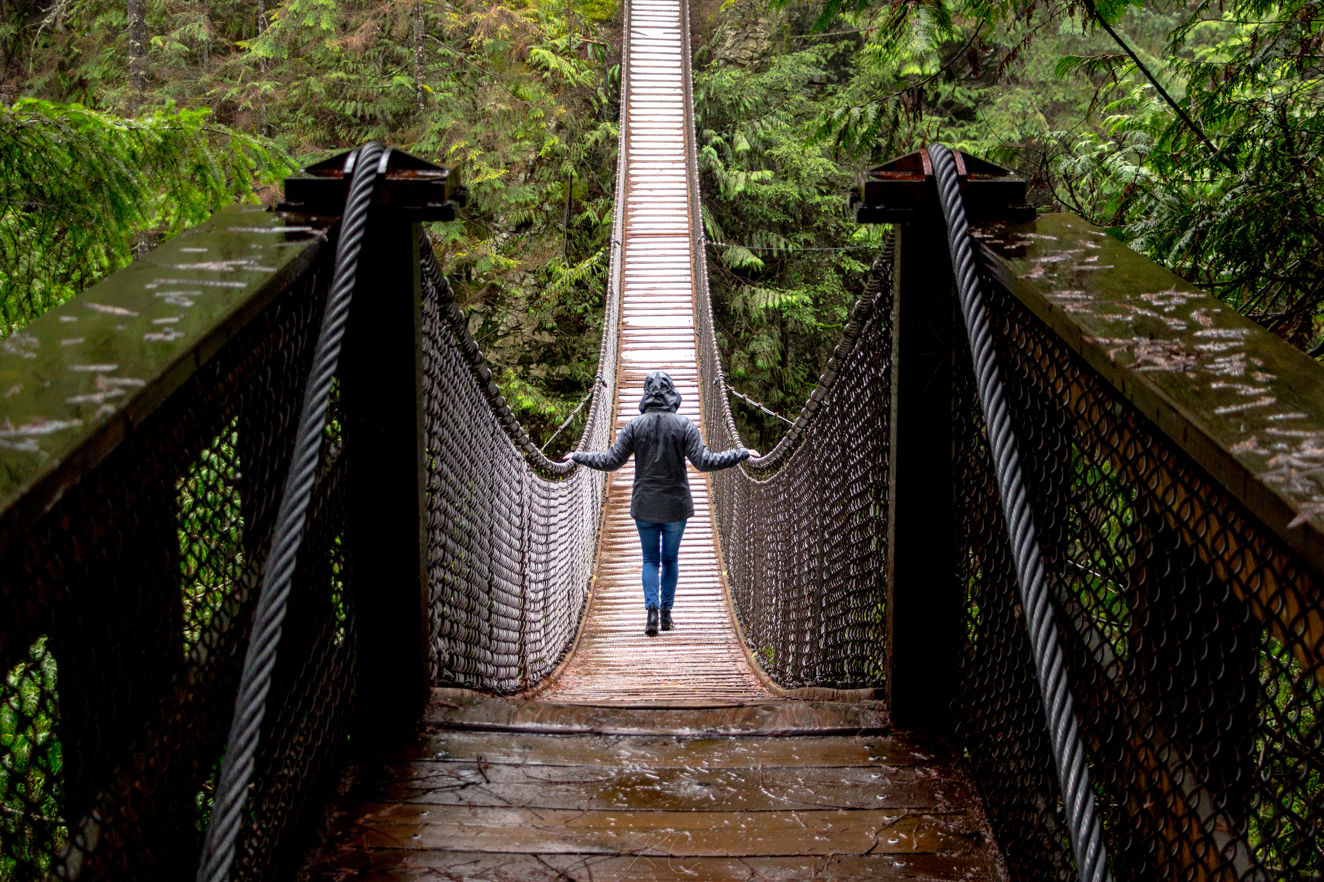 Lynn Canyon Suspension Bridge