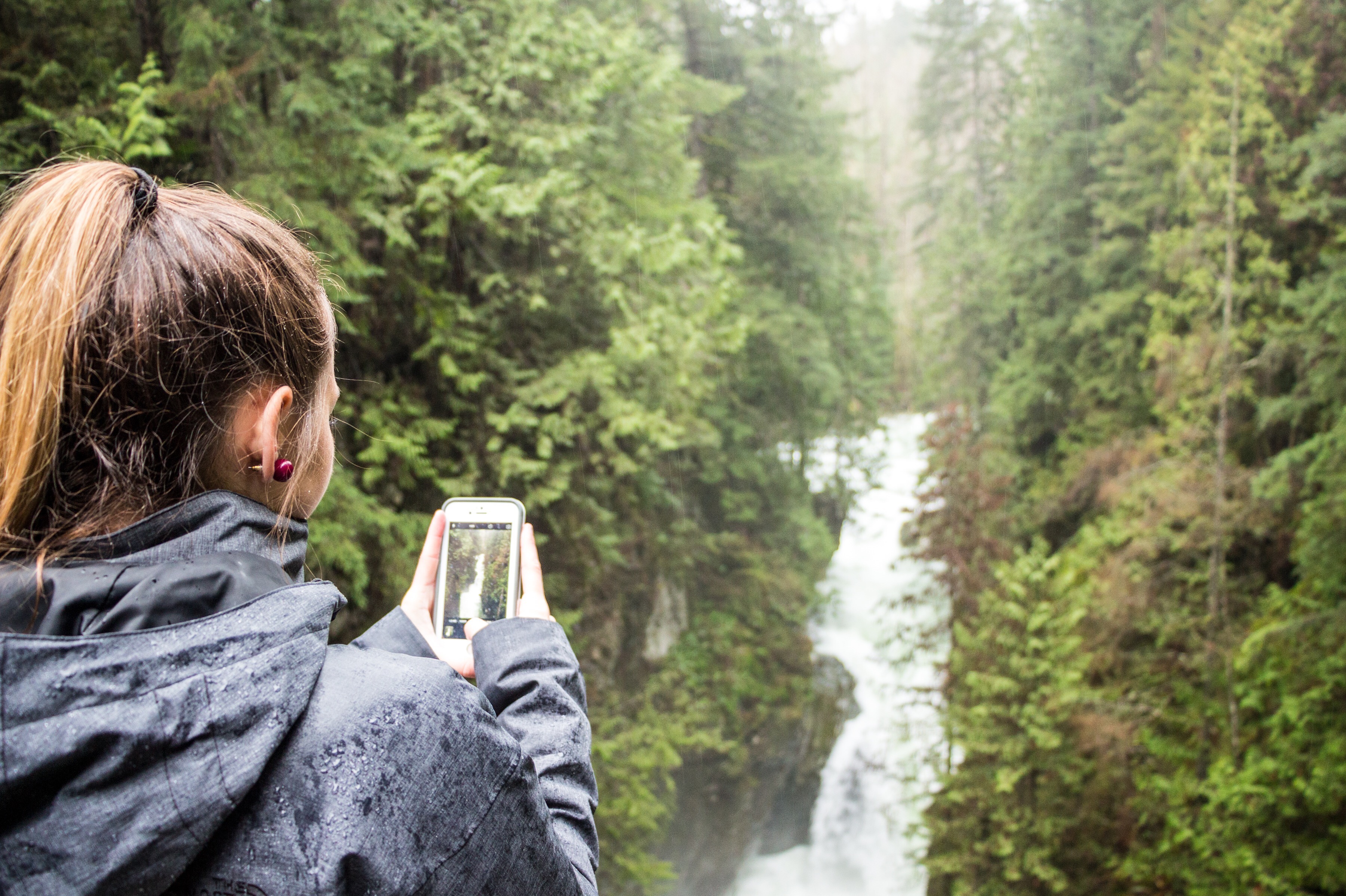 Lynn Canyon Suspension Bridge