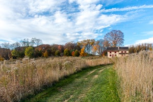 Hike the Meadow Garden at Longwood Gardens