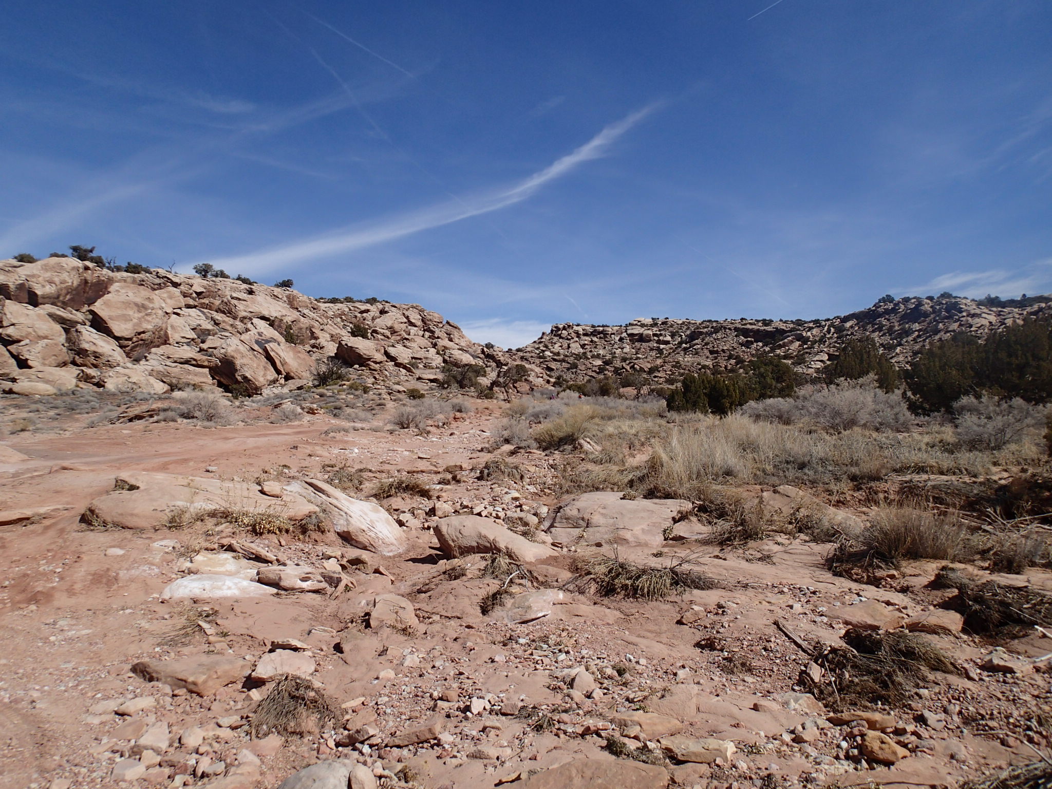 Hike to the Klondike Bluff Dinosaur Track