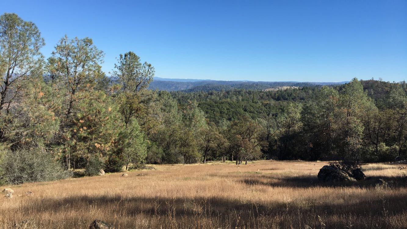 Training Hill