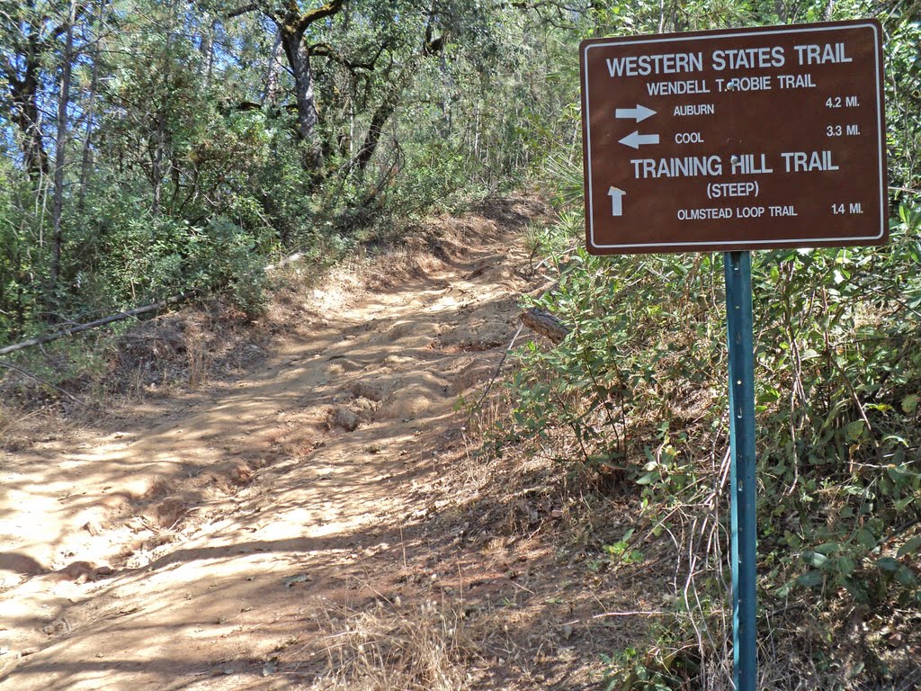 Training Hill