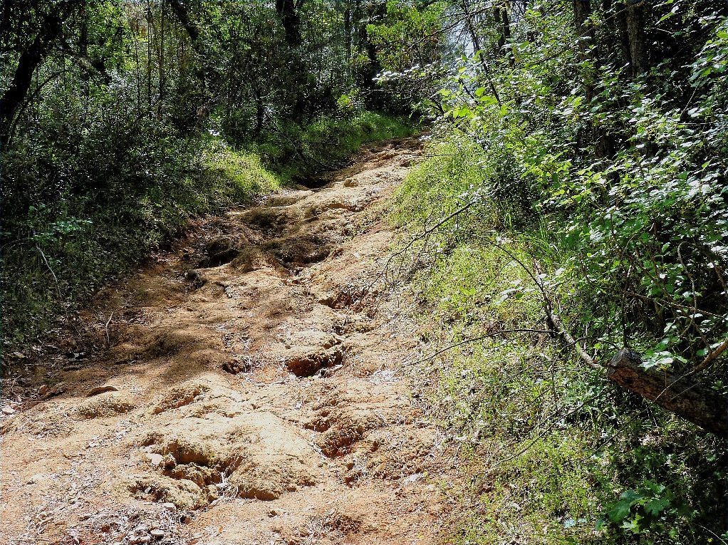 Training Hill