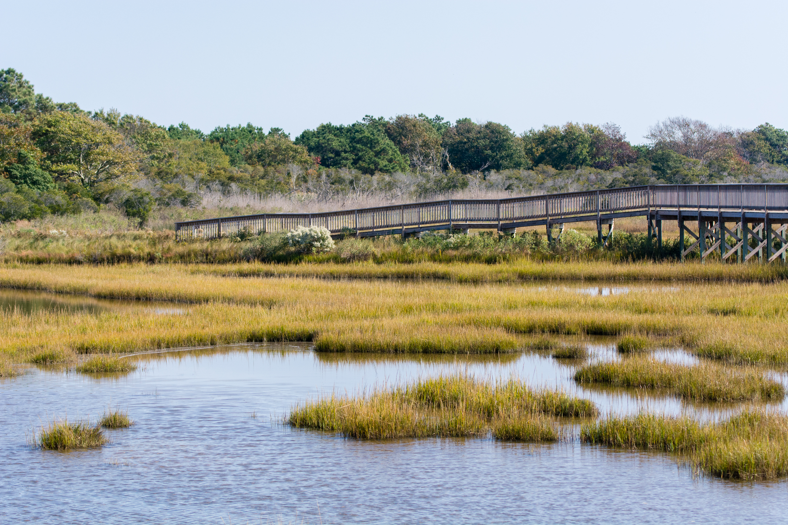 Bike Assateague Island National Seashore