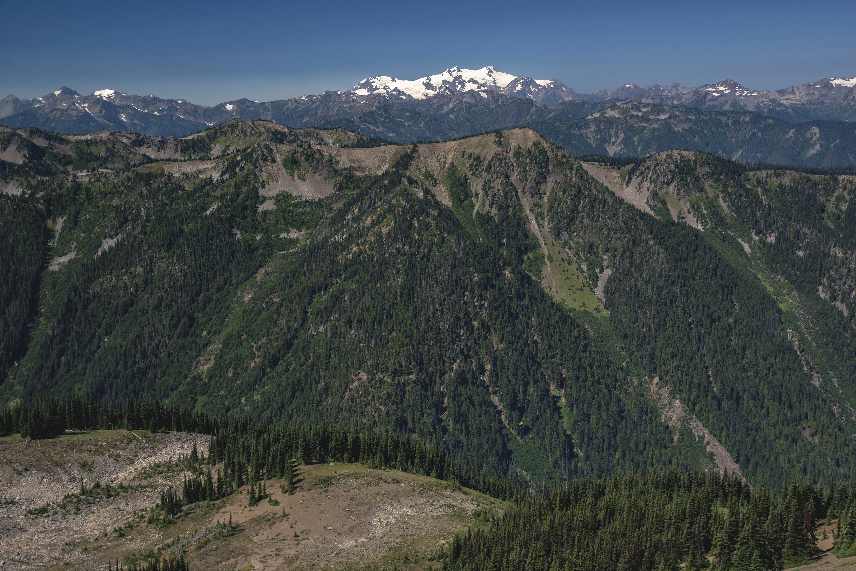 Backpack to Grand Park in the Olympics