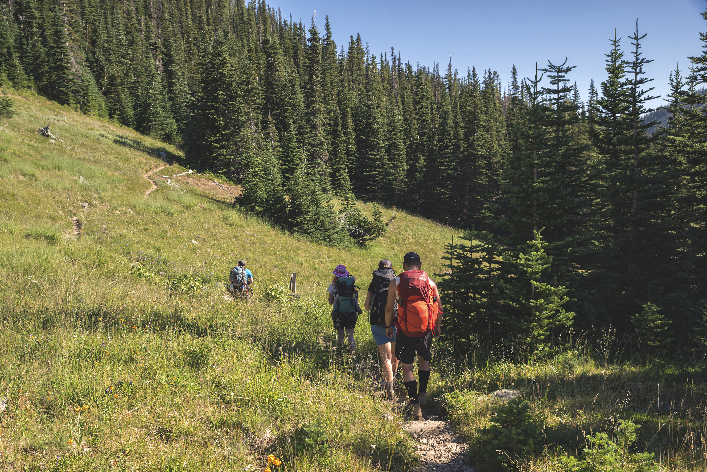 Backpack to Grand Park in the Olympics