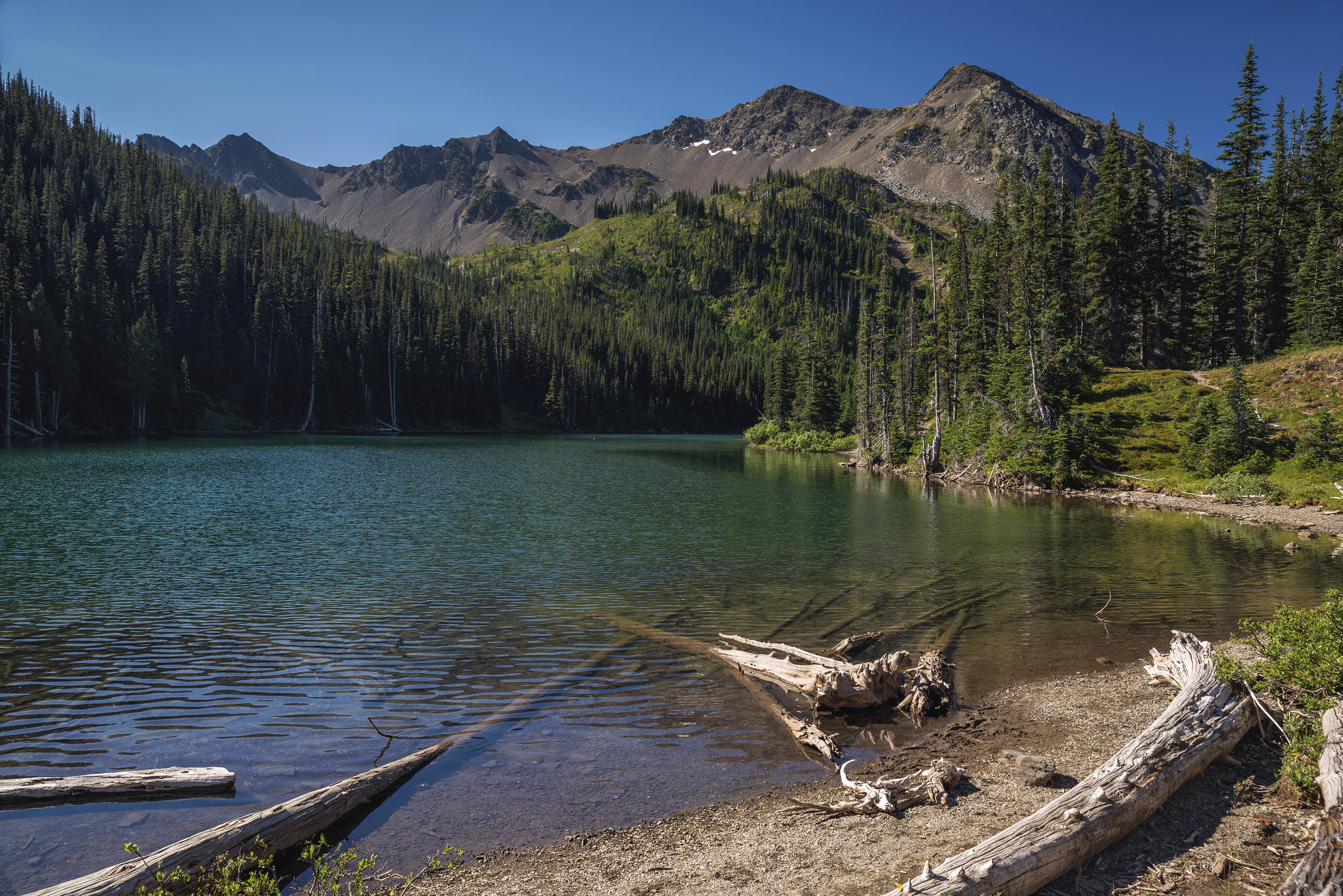 Backpack to Grand Park in the Olympics