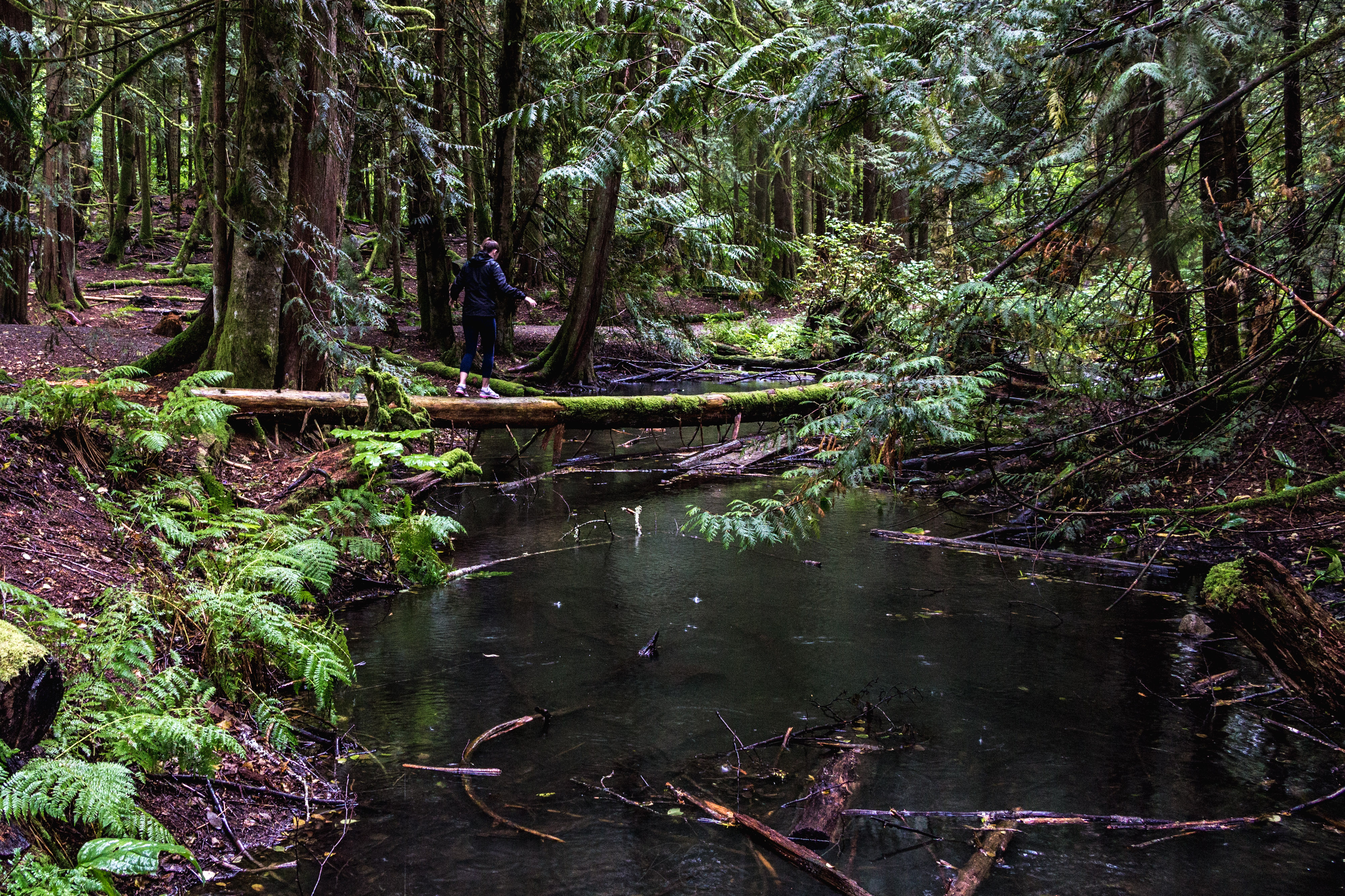 Camp at Alice Lake Provincial Park
