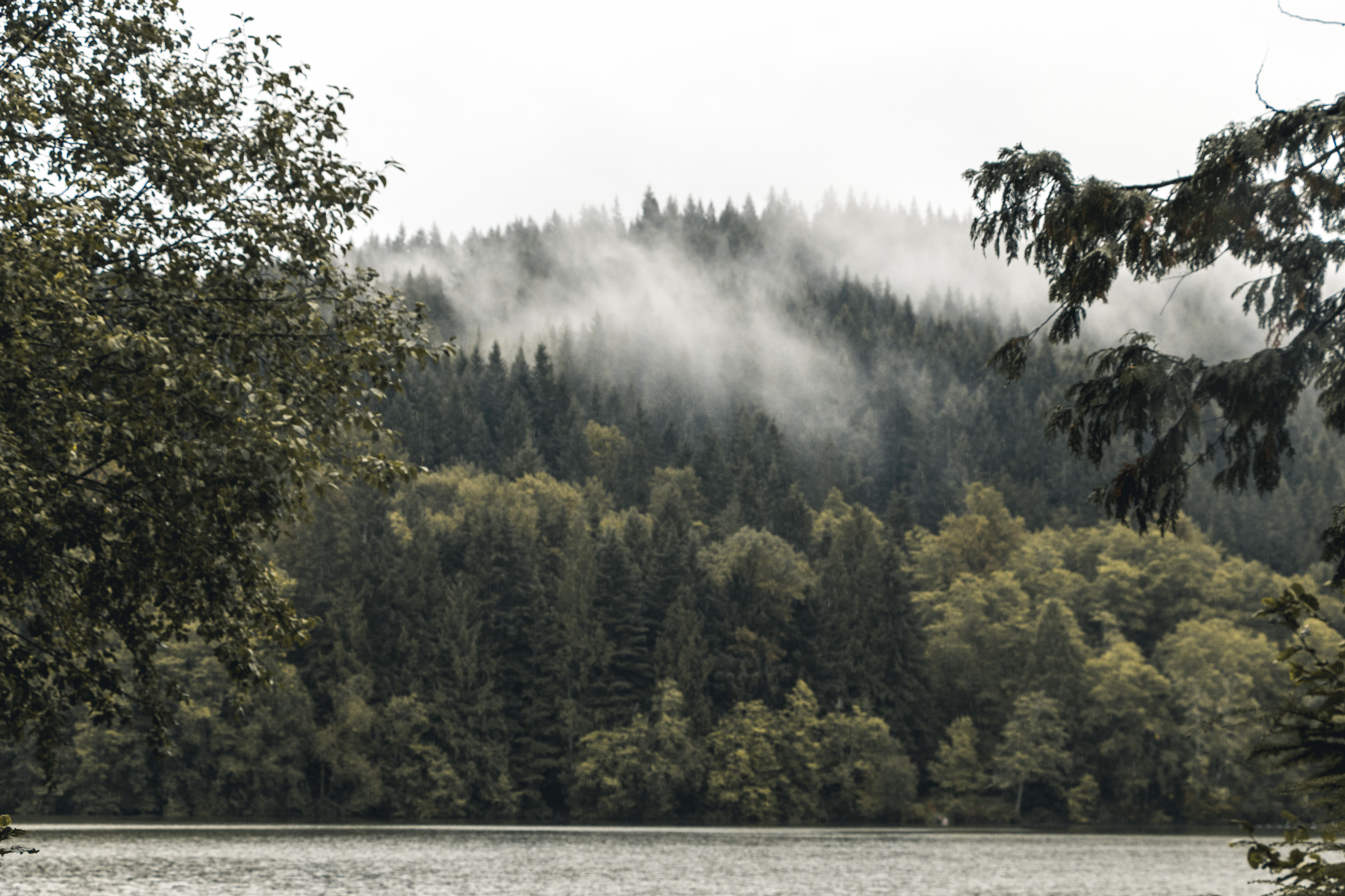Camp at Alice Lake Provincial Park