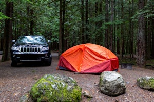 Camp at Alice Lake Provincial Park