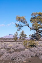 Bike the Loop Road at Craters of the Moon National Monument