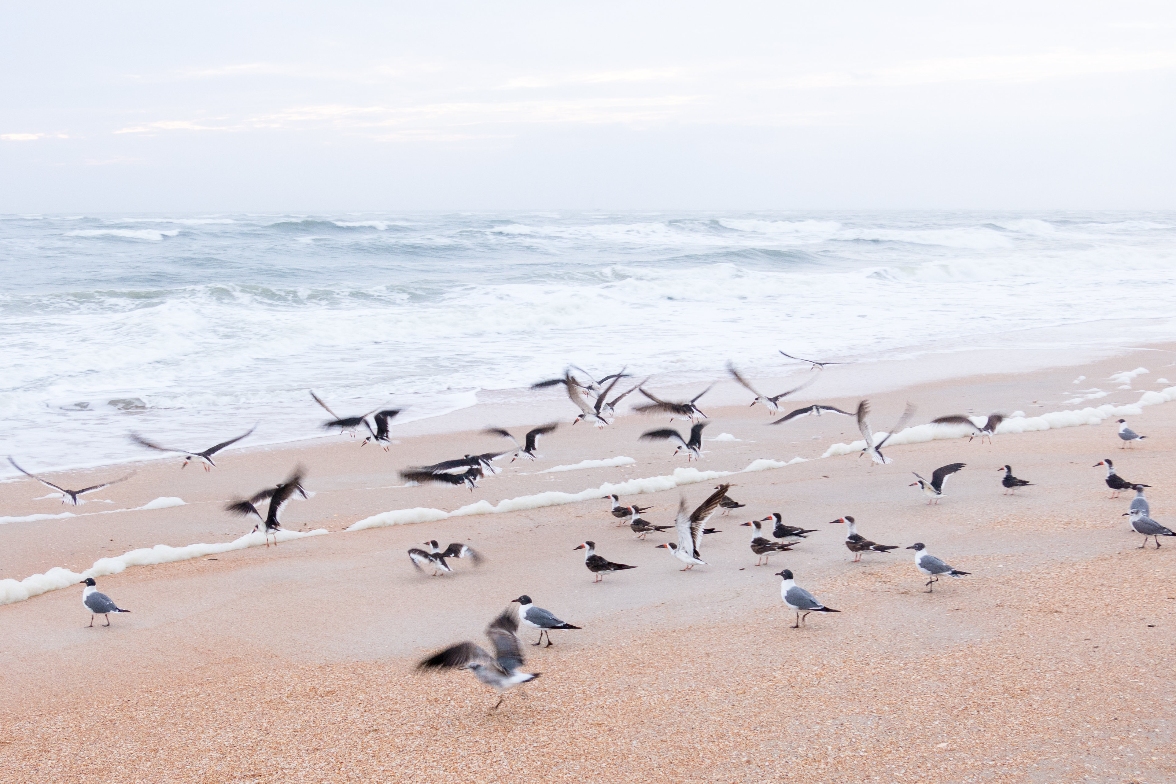 Bike the Beaches of Saint Augustine