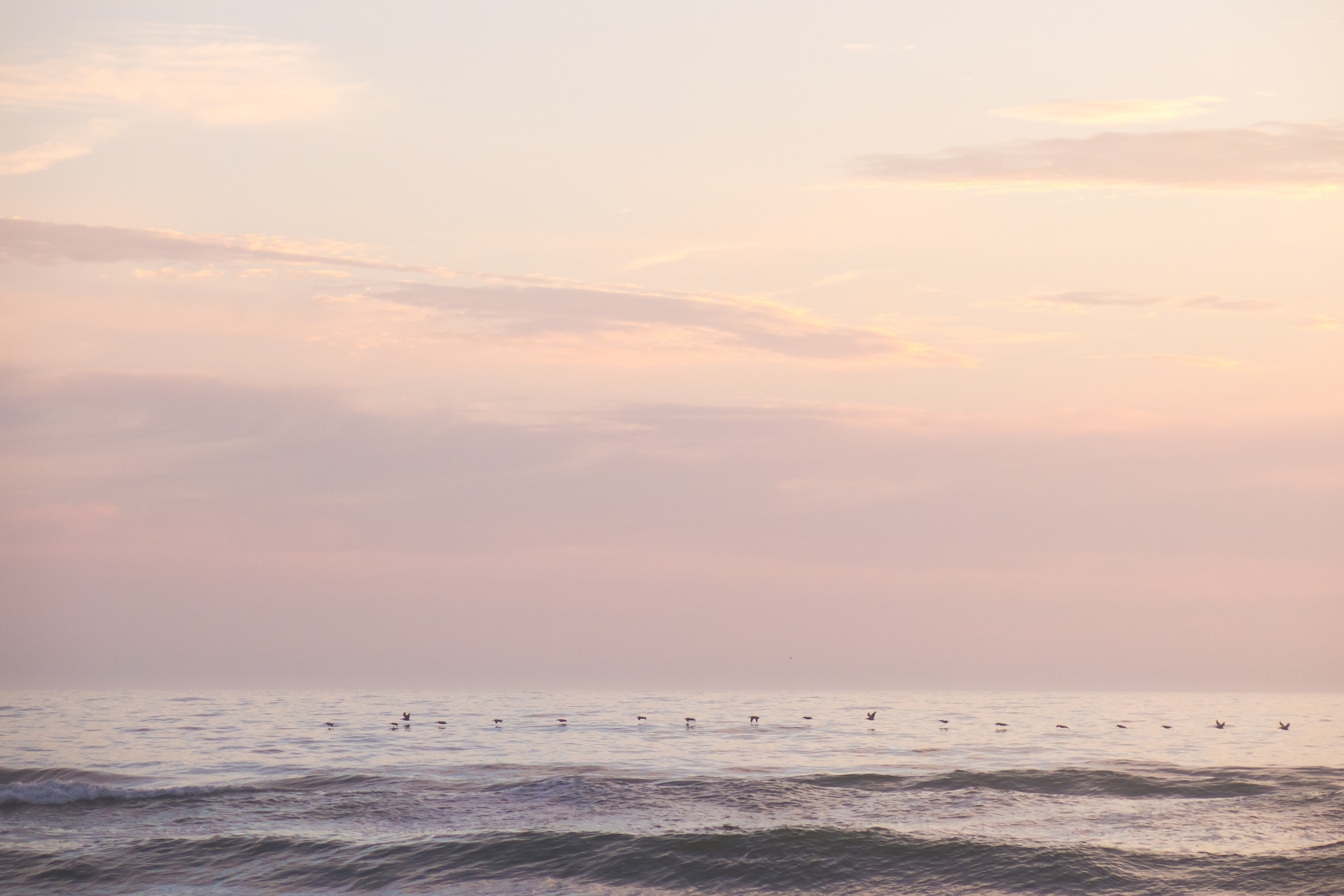 Bike the Beaches of Saint Augustine