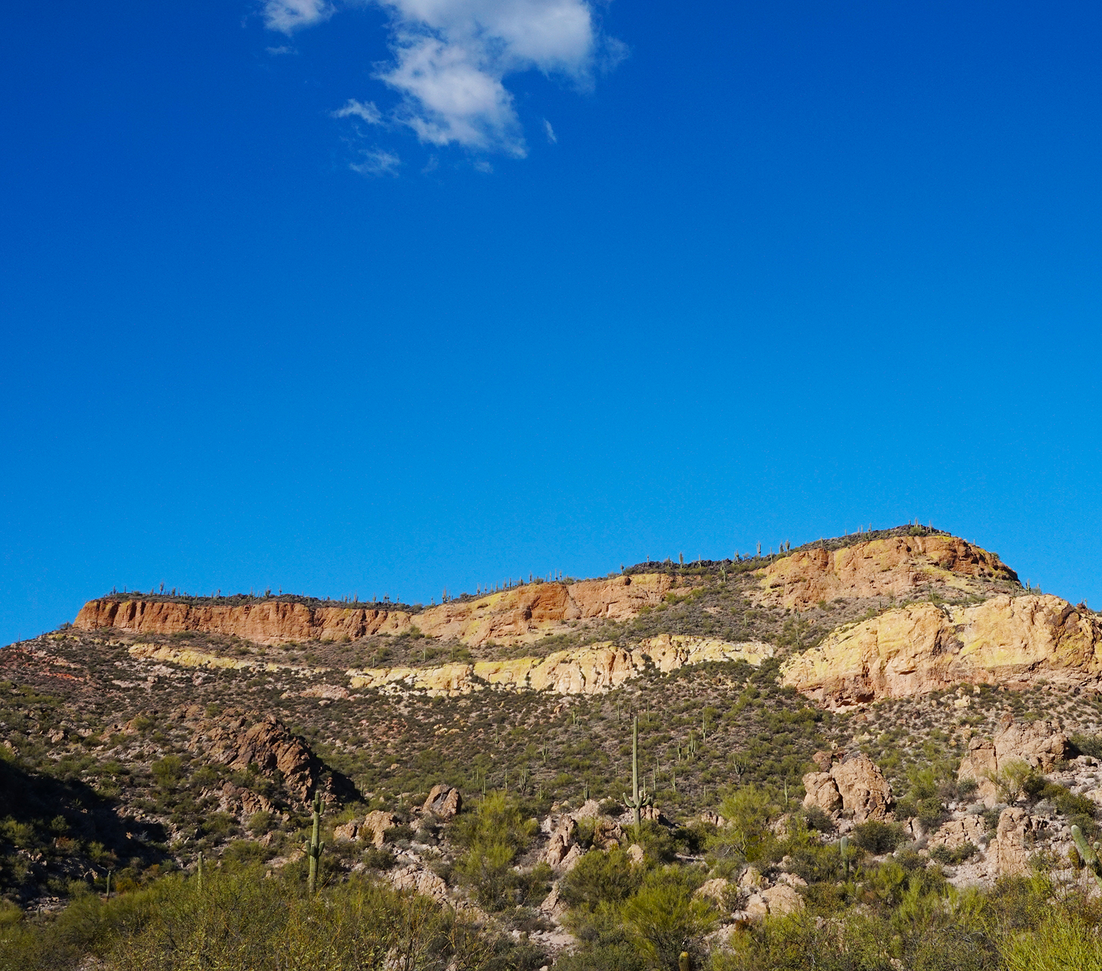 Black Mesa Loop