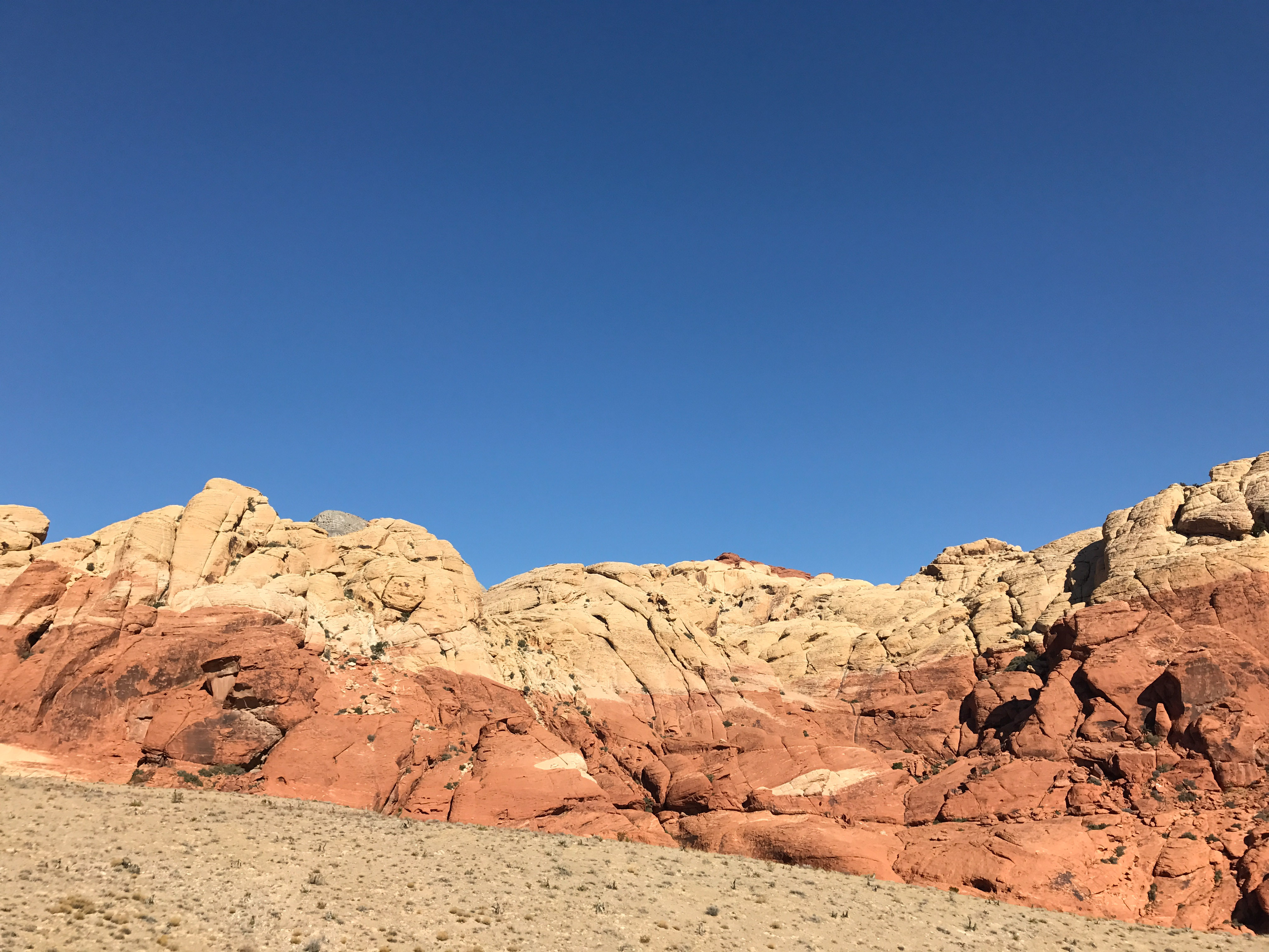 Hike or Trail Run White Rock to Willow Springs