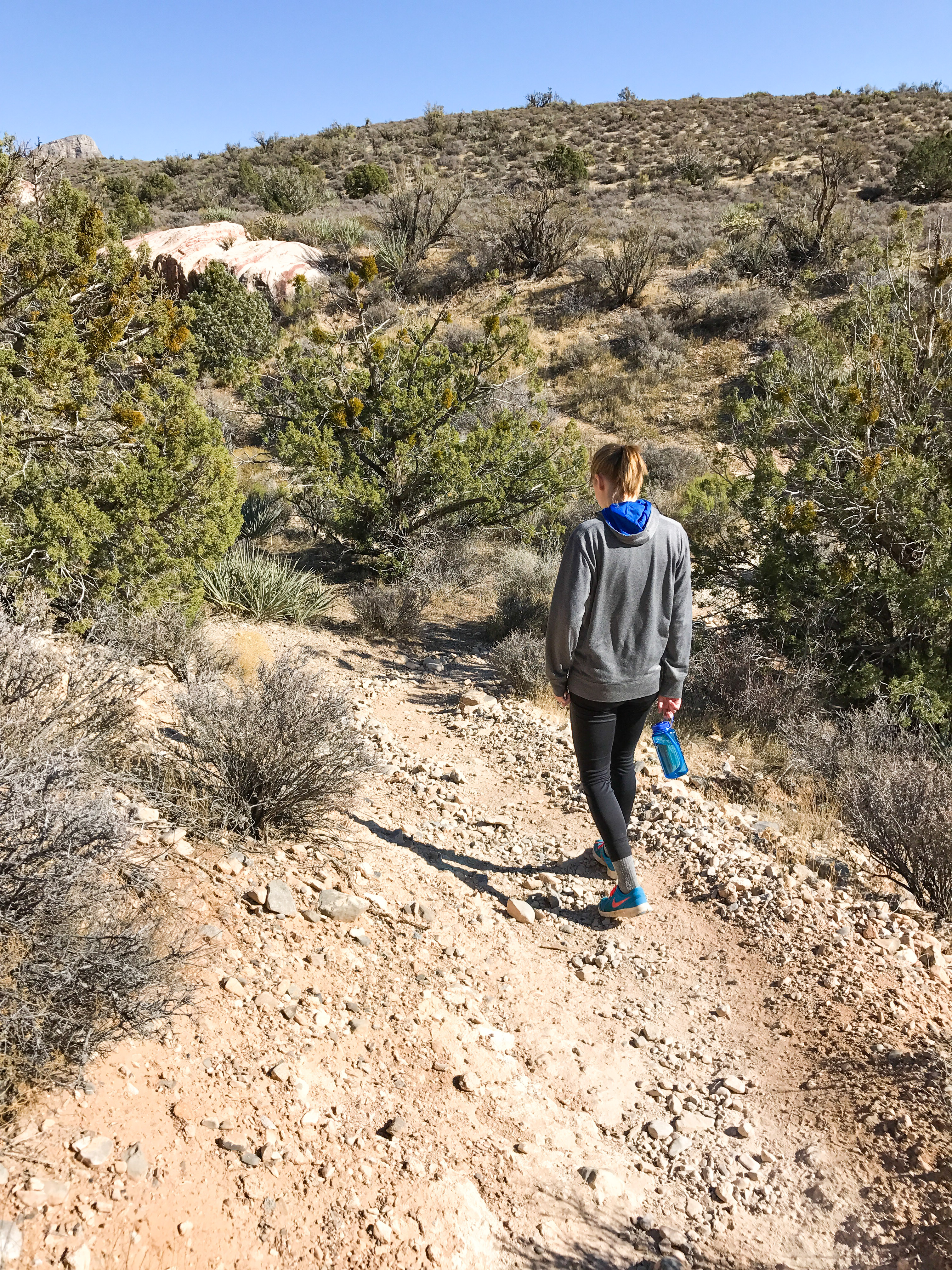 Hike or Trail Run White Rock to Willow Springs