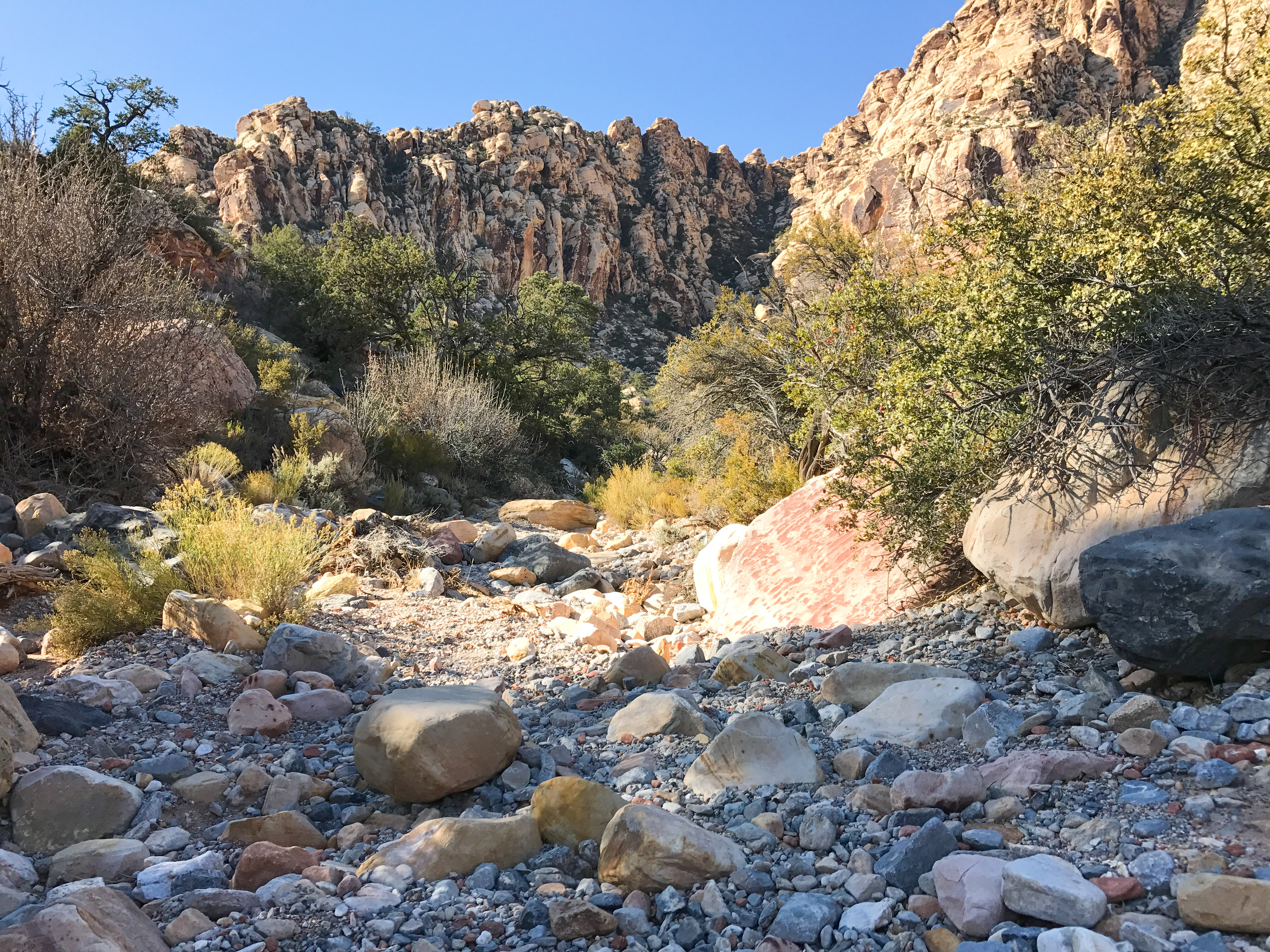 Hike or Trail Run White Rock to Willow Springs