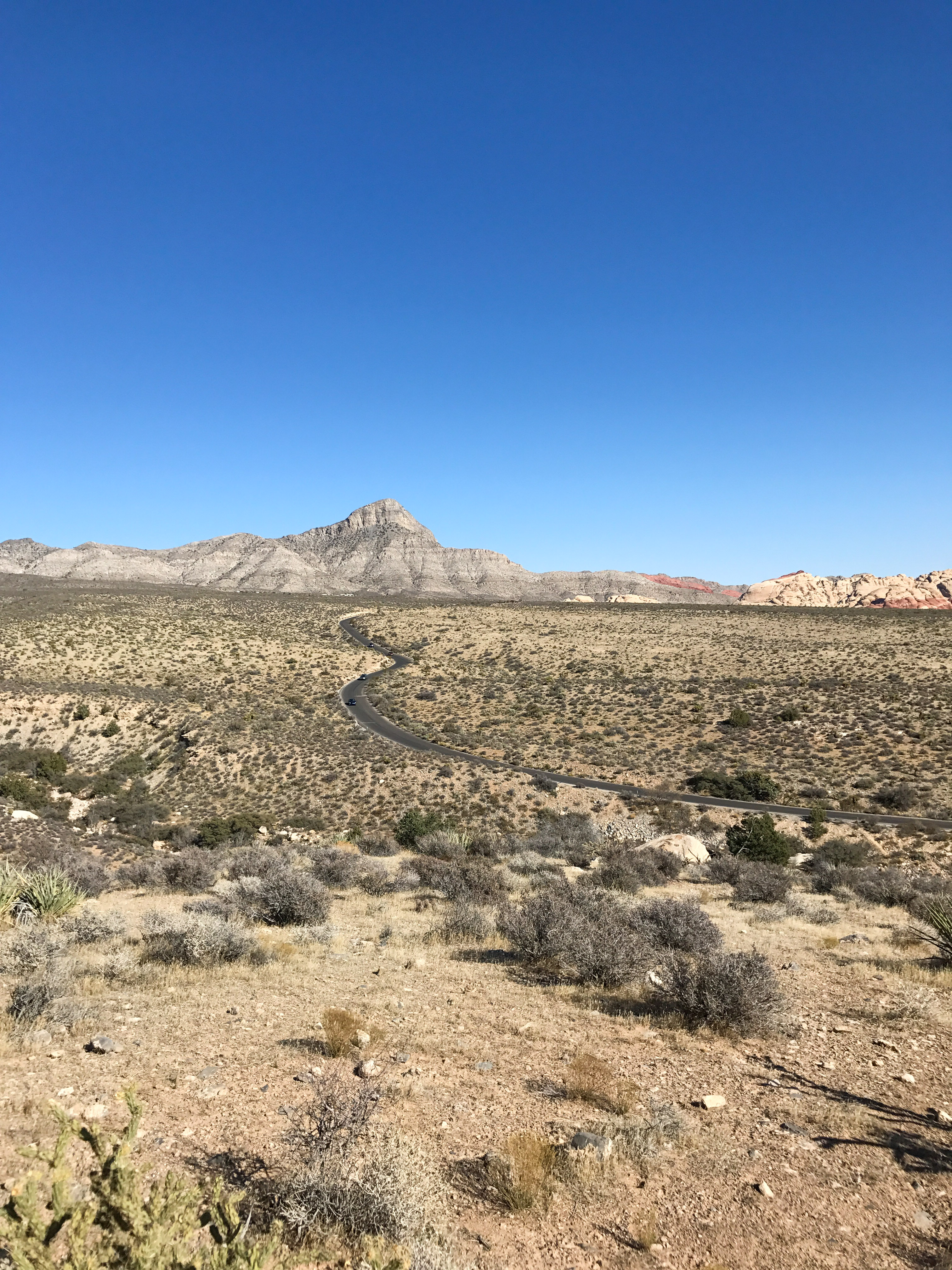 Hike or Trail Run White Rock to Willow Springs