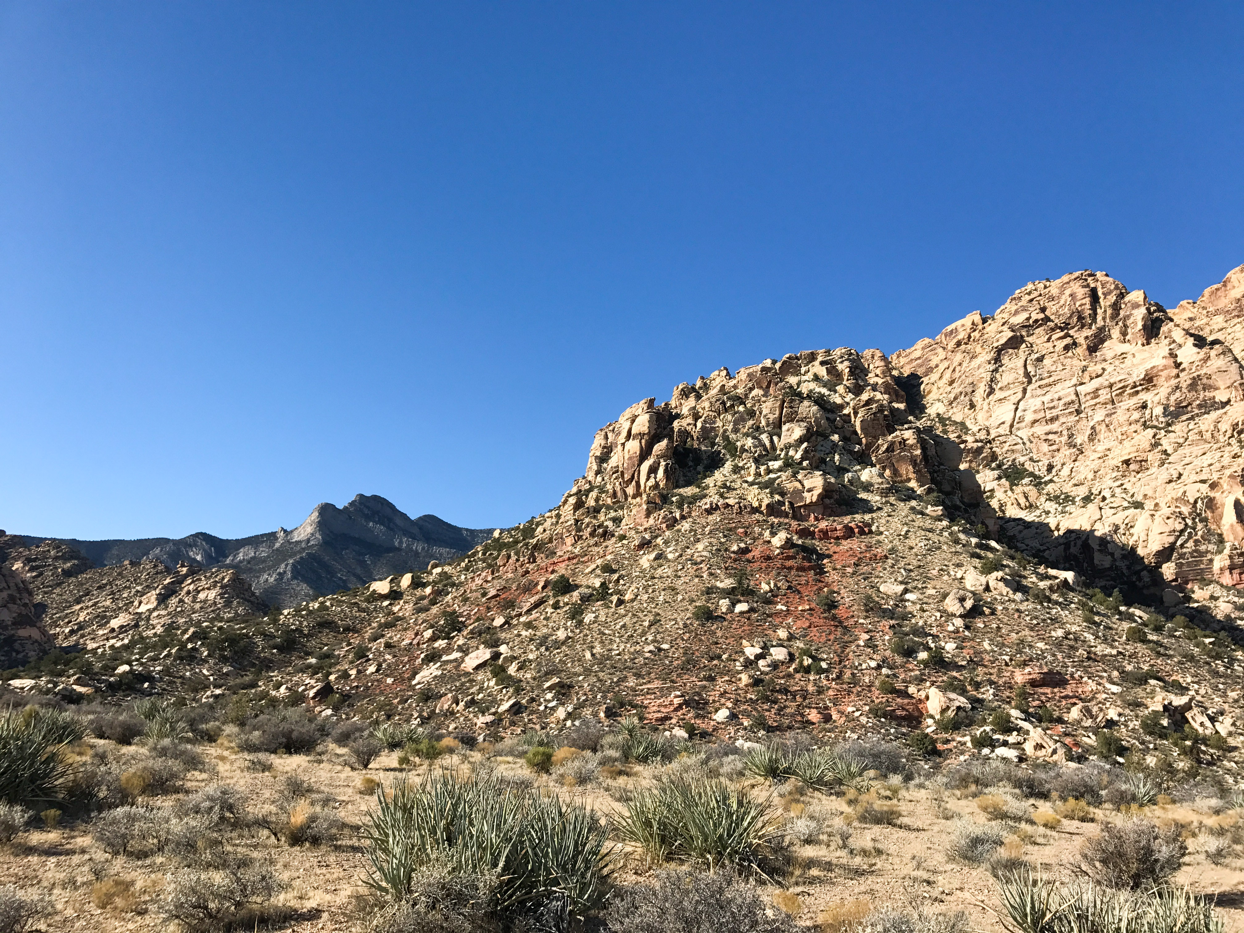 Hike or Trail Run White Rock to Willow Springs
