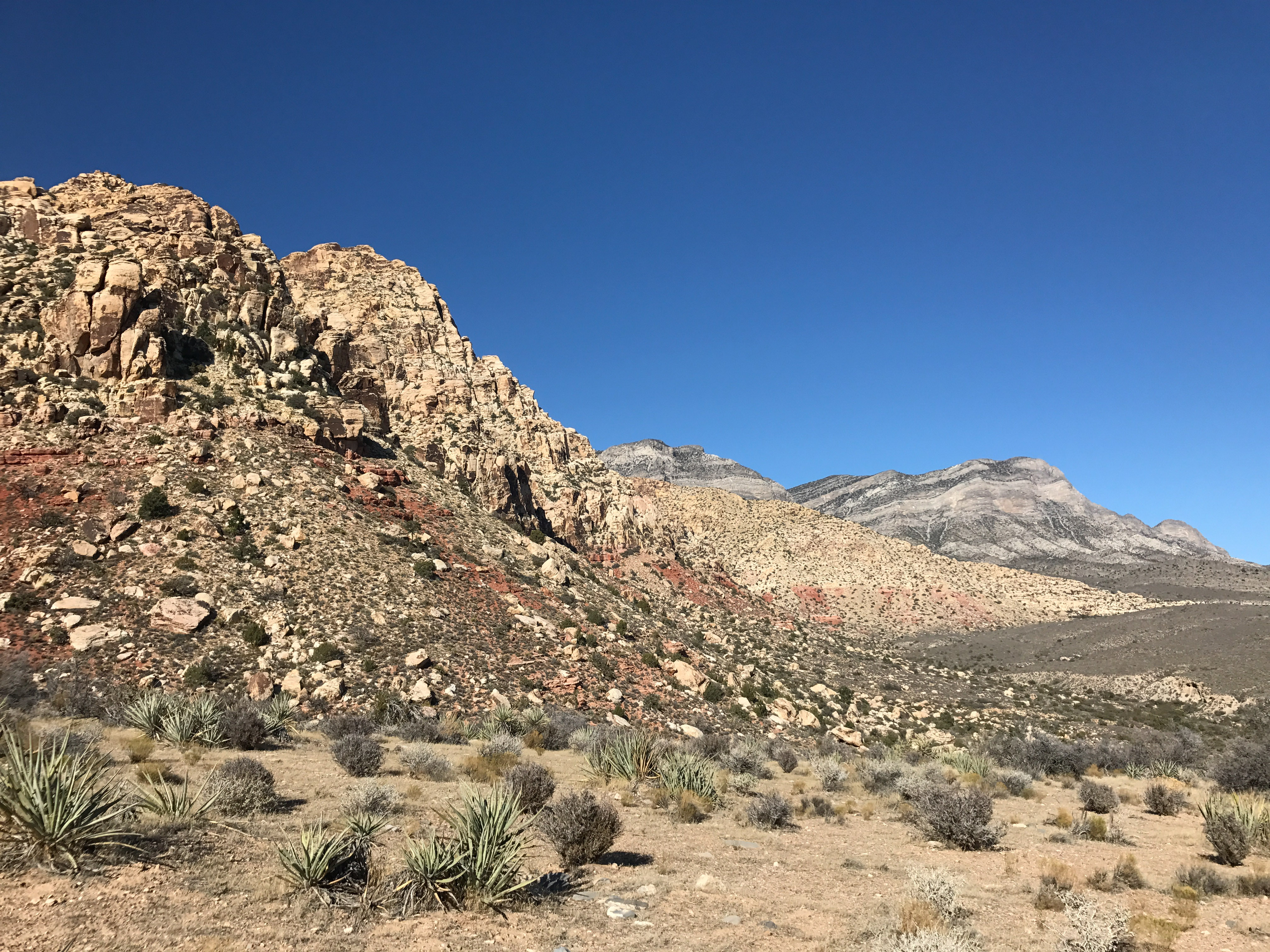 Hike or Trail Run White Rock to Willow Springs
