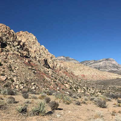 Hike or Trail Run White Rock to Willow Springs
