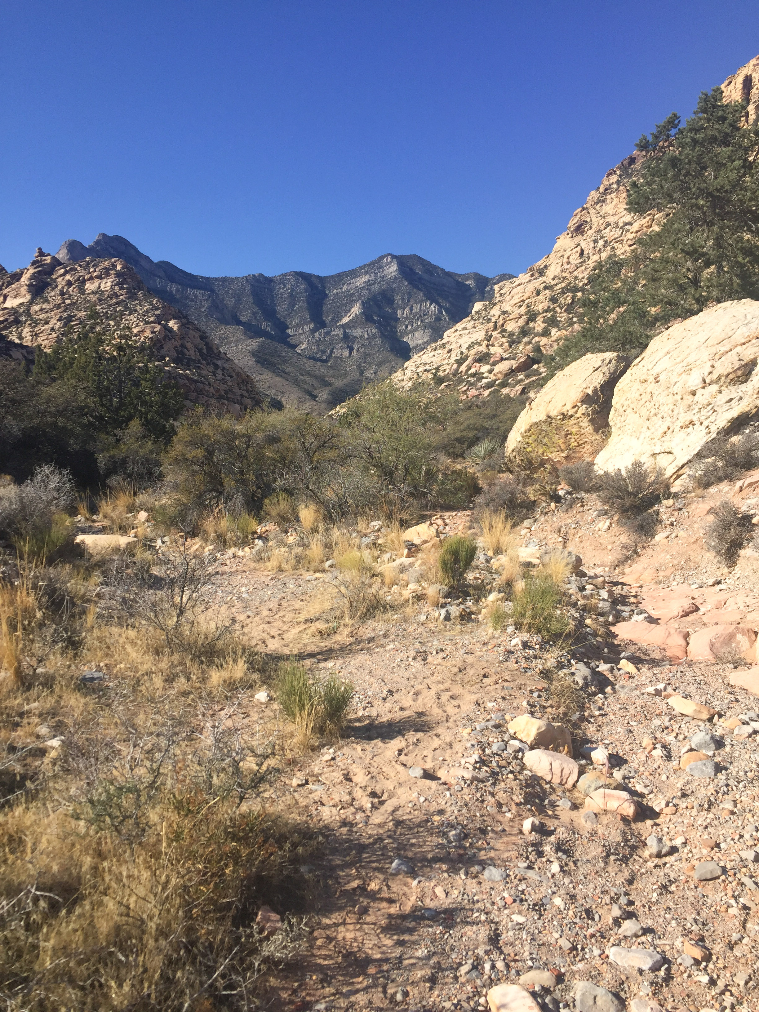 Hike or Trail Run White Rock to Willow Springs