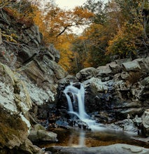 Scott's Run Nature Preserve Loop