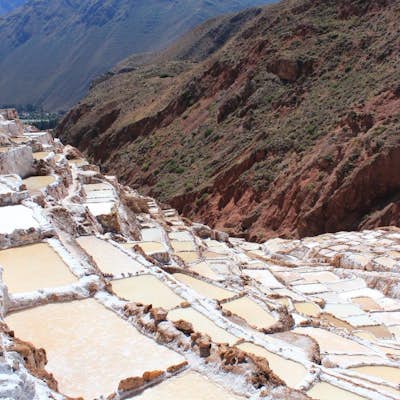 Explore the Salinas de Maras (Salt Pans) in the Sacred Valley of Peru 