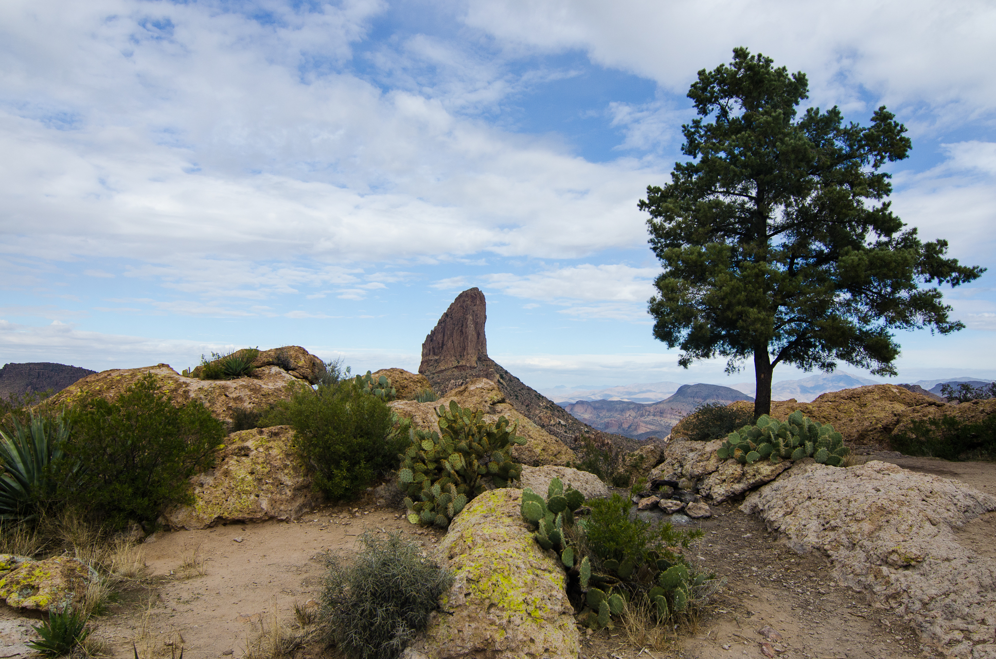 Fremont Saddle via Peralta Canyon Trail