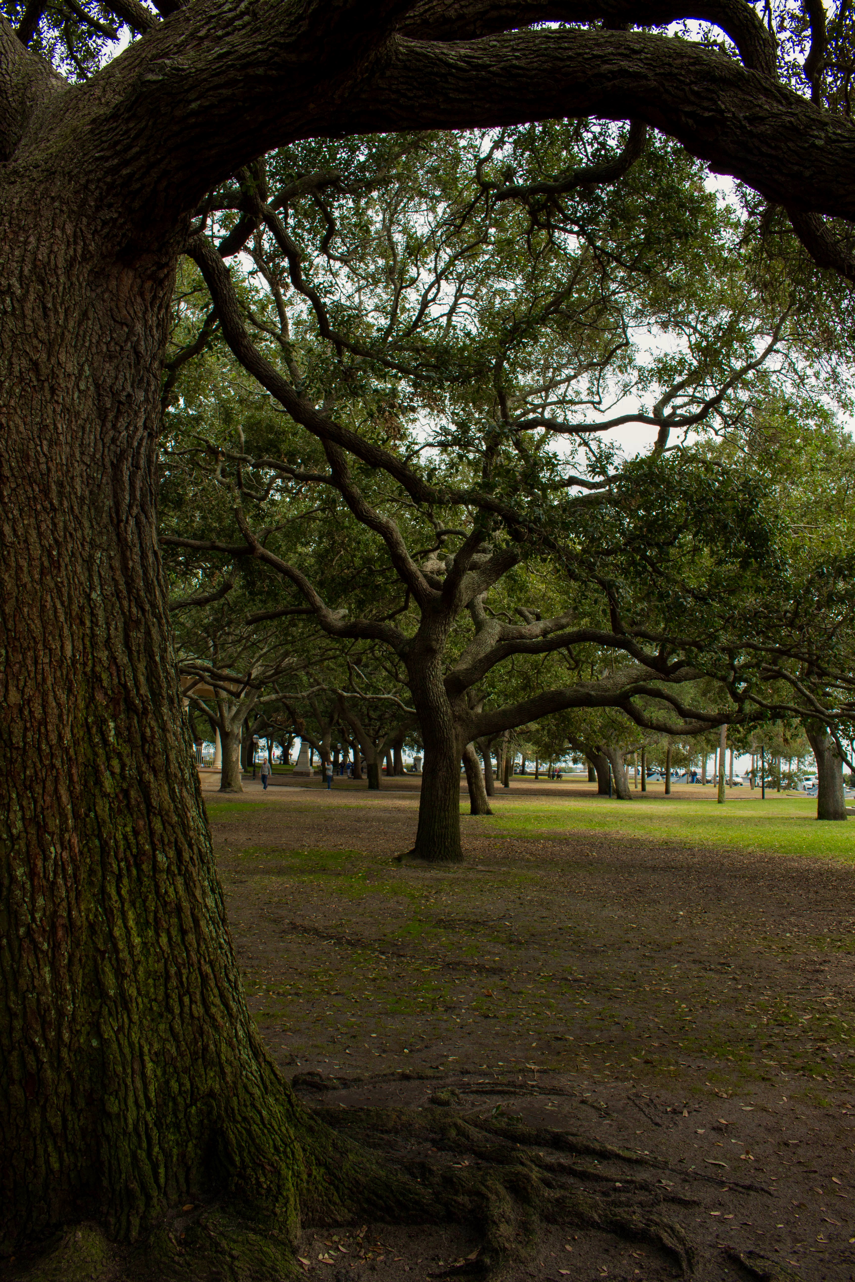 Explore the White Point Garden