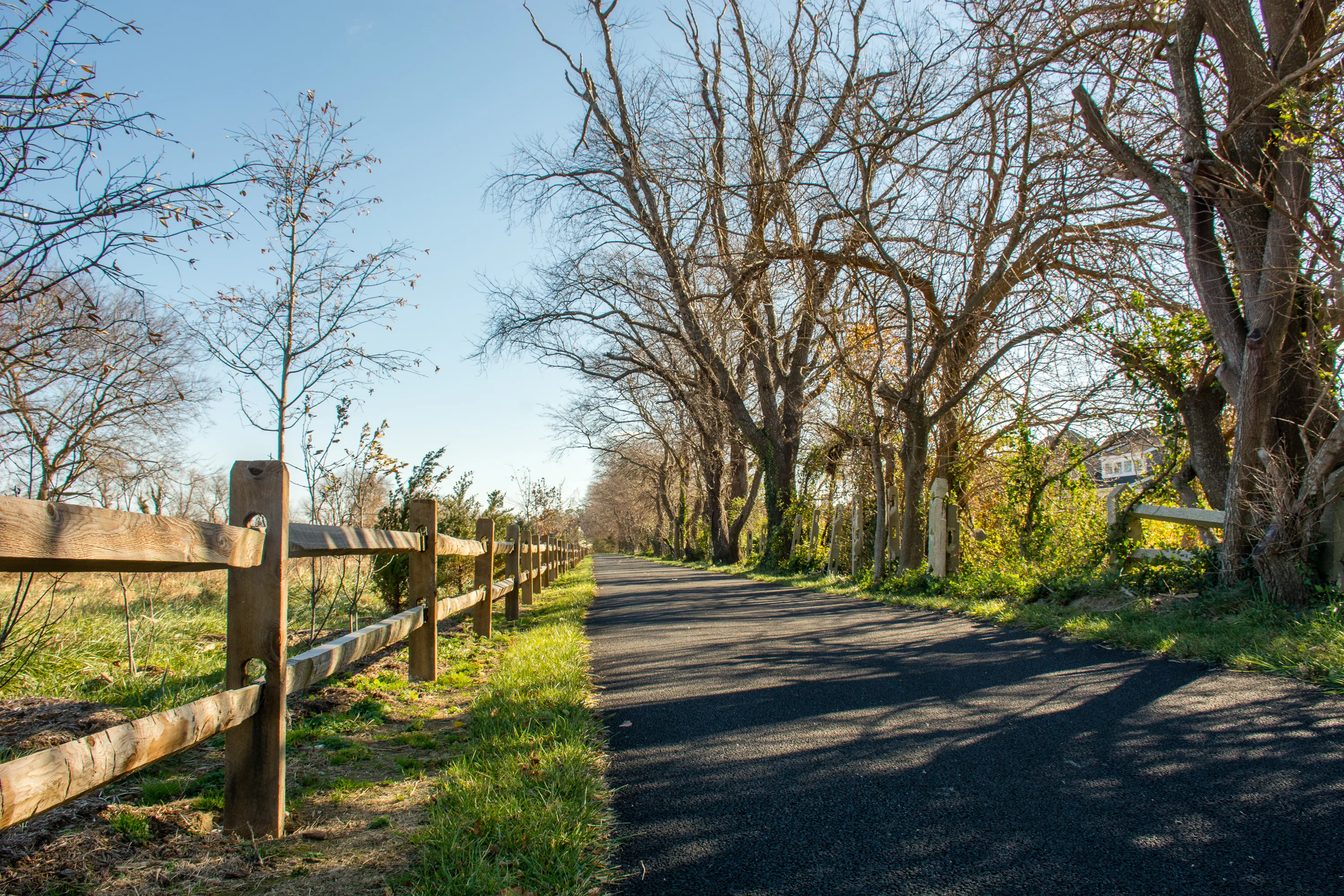Bike the Junction and Breakwater Trail