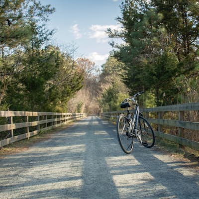 Bike the Junction and Breakwater Trail