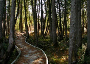 Hike the Plover River Segment of the Ice Age National Scenic Trail