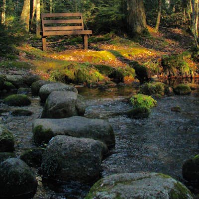 Hike the Plover River Segment of the Ice Age National Scenic Trail