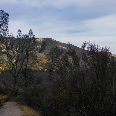Hike the Old Pinnacle Trail in Pinnacles National Park