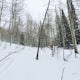 Backcountry Ski Short Swing, Mill D North