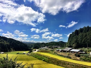 Choishi-Michi Pilgrimage Trail to Koya-san (町石道)