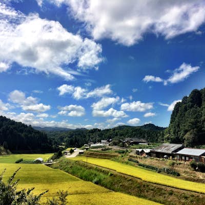 Choishi-Michi Pilgrimage Trail to Koya-san (町石道)
