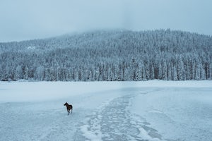 Why You Should Snowshoe to Trillium Lake on a Weekday