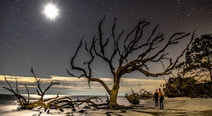 6 Breathtaking Photos from Georgia's Driftwood Beach