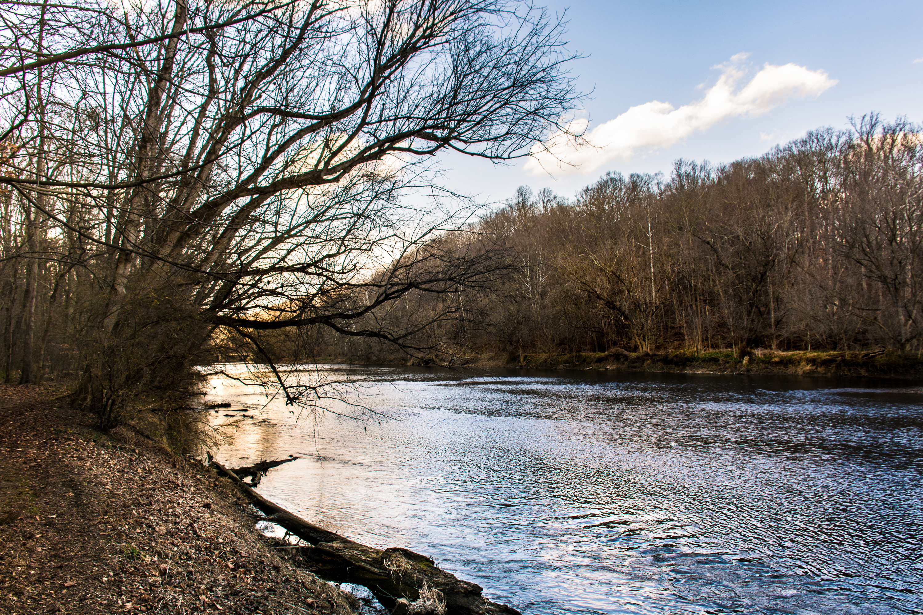 Hike the Hidden Pond Trail